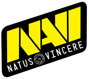 NaVi