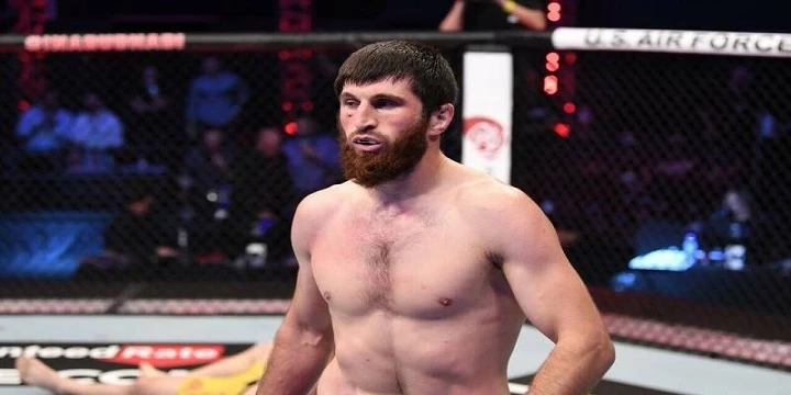 Тиаго Сантос — Магомед Анкалаев. Прогноз на UFC (13 марта 2022 года)